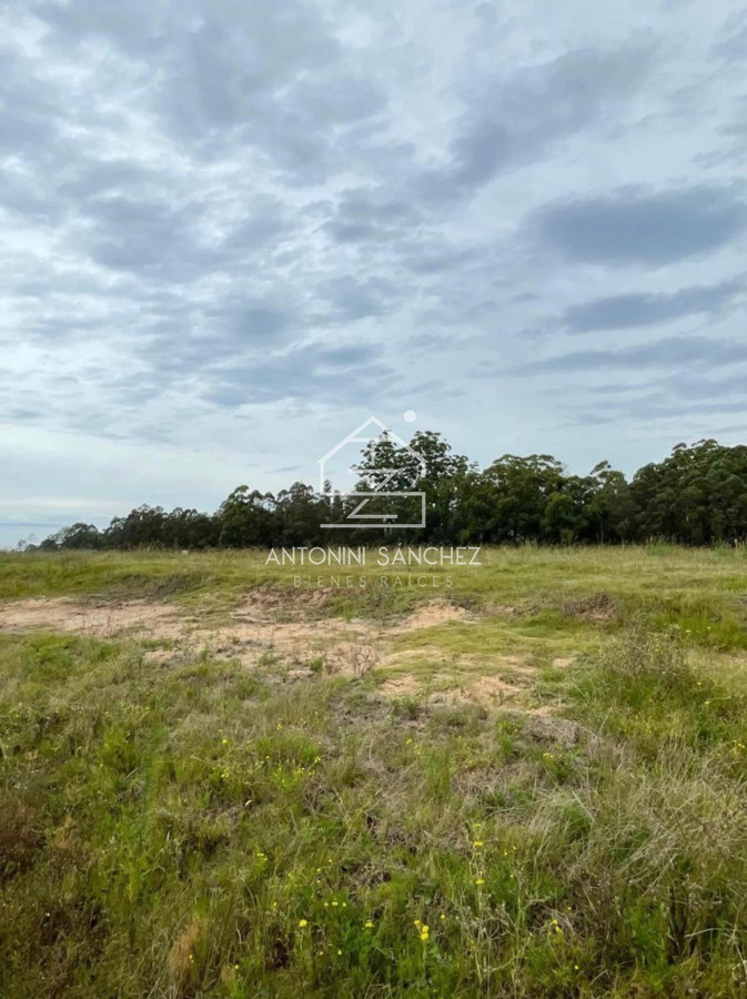 Terreno ID.2444 - Venta terreno 4h, punta del este 