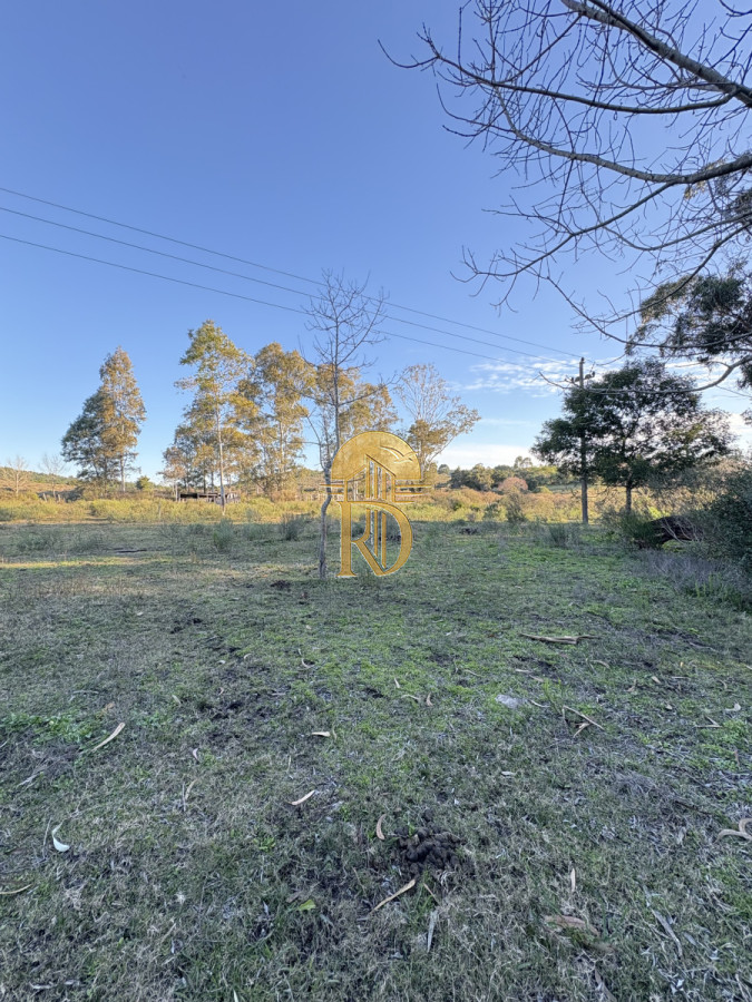 Chacra en venta sobre ruta 9  -id-359-22