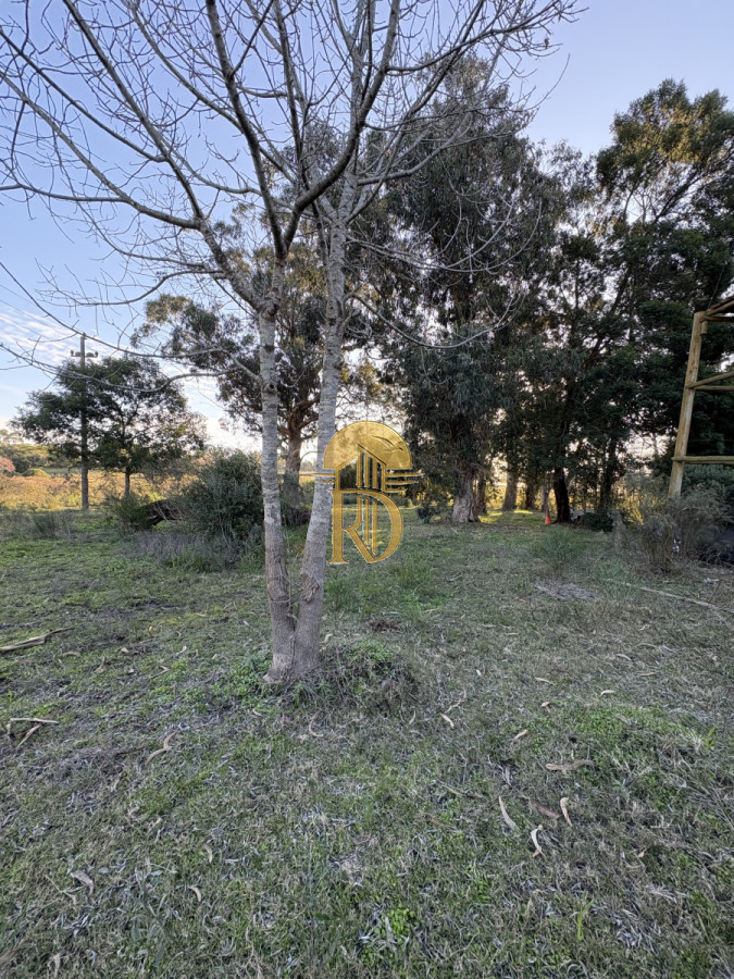 Chacra en venta sobre ruta 9  -id-359-24