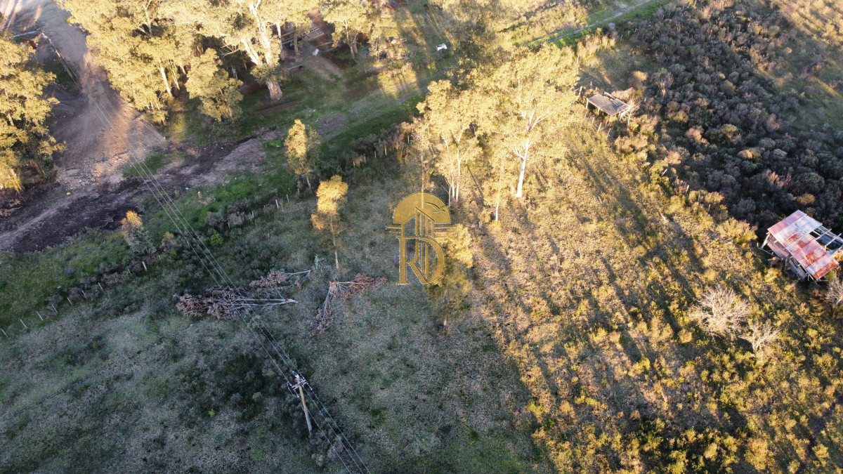 Chacra en venta sobre ruta 9  -id-359-7