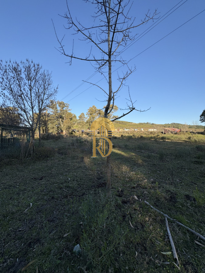 Chacra en venta sobre ruta 9  -id-359-20
