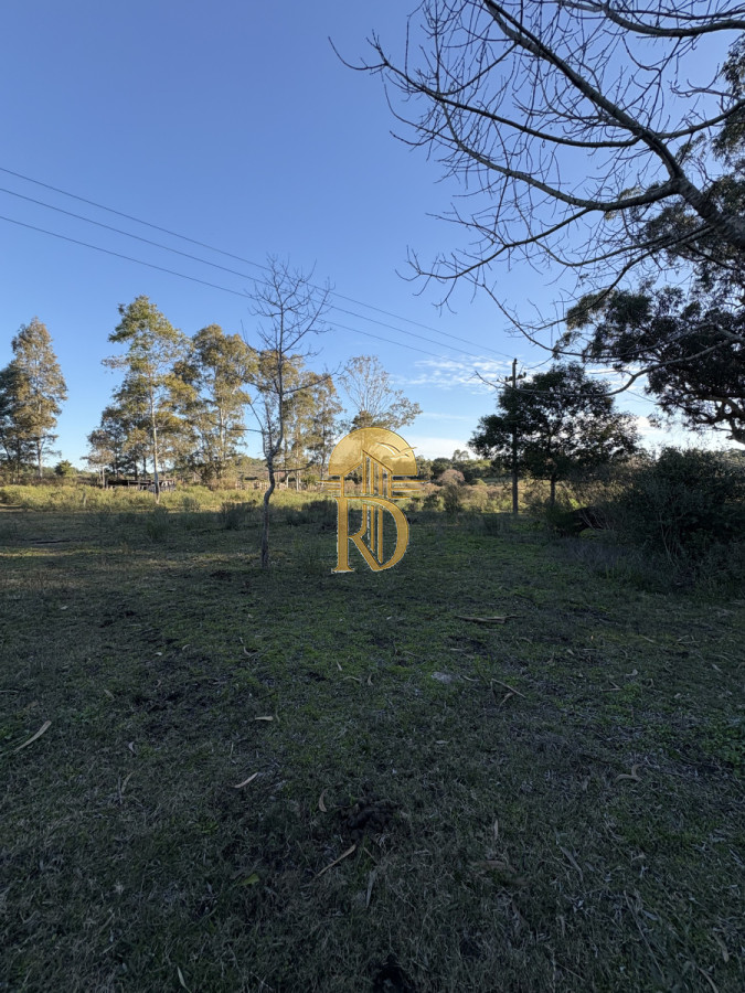 Chacra en venta sobre ruta 9  -id-359-25