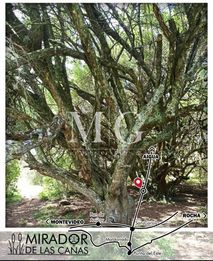 Chacra ID.217 - Venta Chacra 7.8Has Maldonado, Mirador de Las Cañas