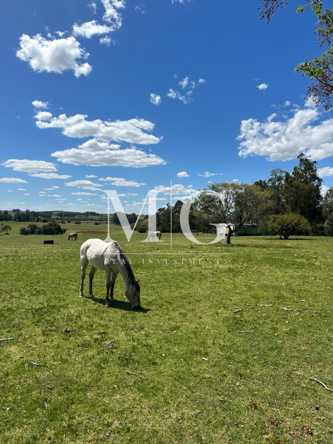 Chacra ID.836 - Chachra 5Has Ruta 39 