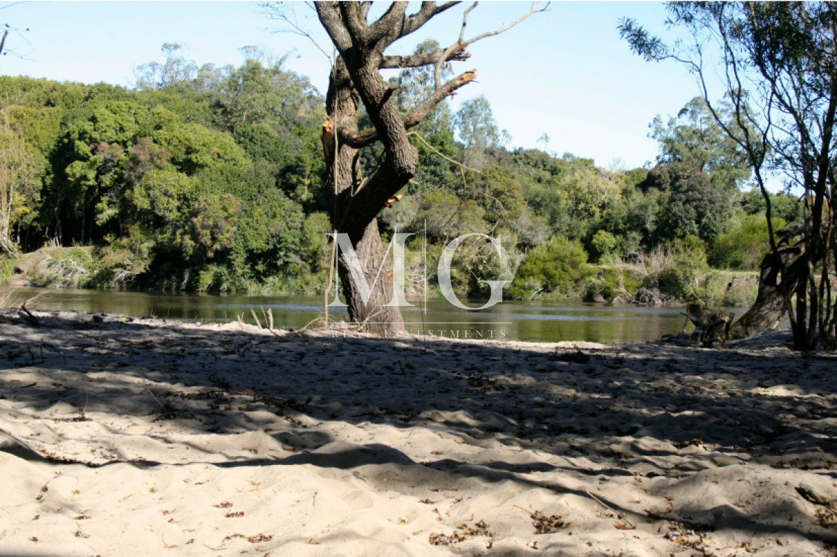 Chacra ID.361 - Venta Chacra Boca del Rosario Colonia 