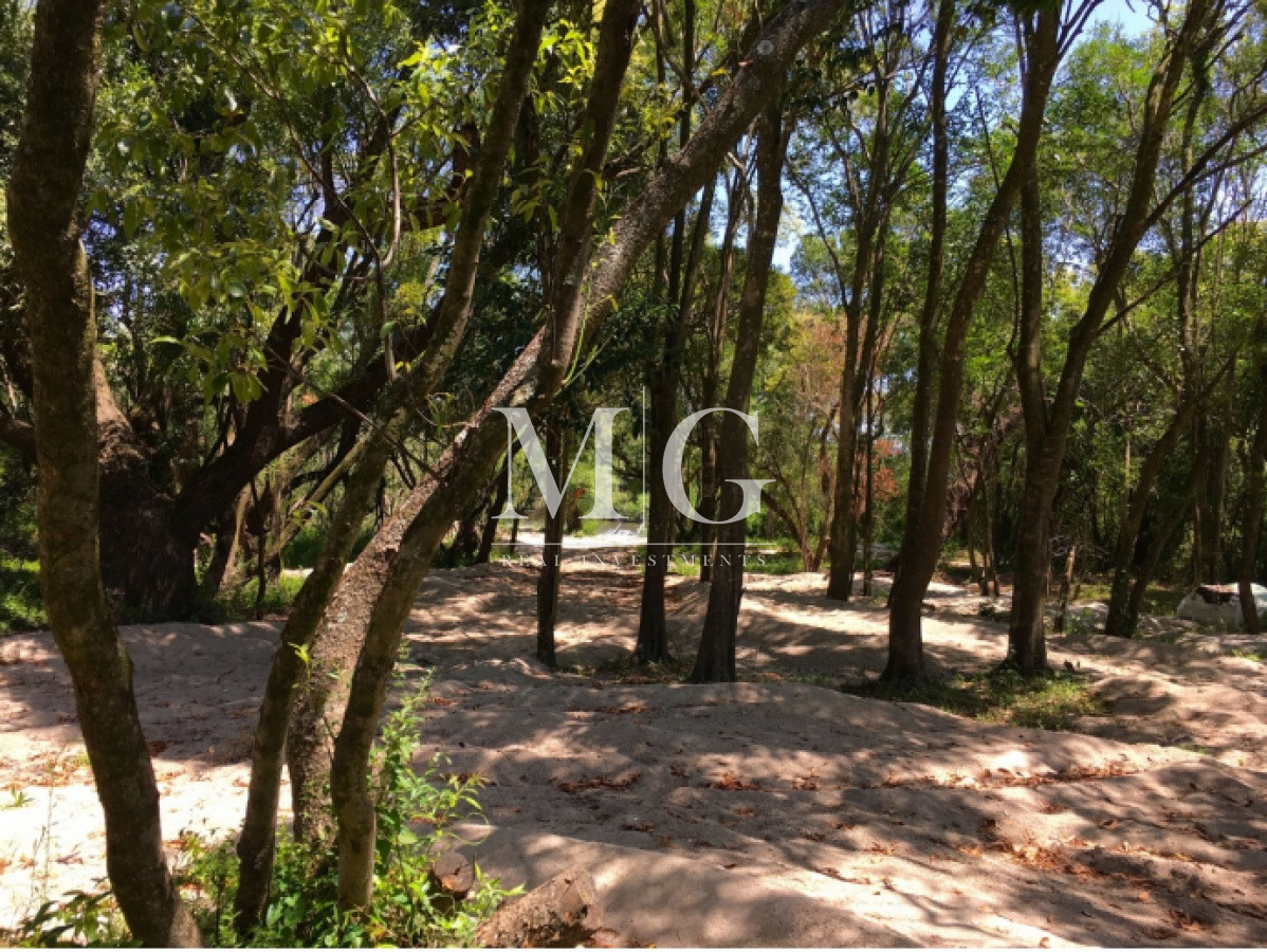 Chacra ID.361 - Venta Chacra Boca del Rosario Colonia 