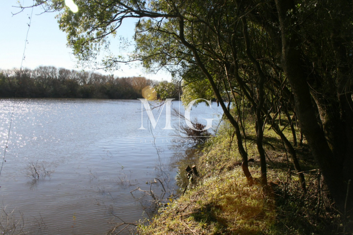 Chacra ID.361 - Venta Chacra Boca del Rosario Colonia 