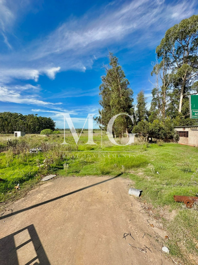 Chacra ID.502 - Venta Chacra 3Has ex Conaprole Camino de Los Ceibos, con 3 Pozos de Agua Semisurgente!