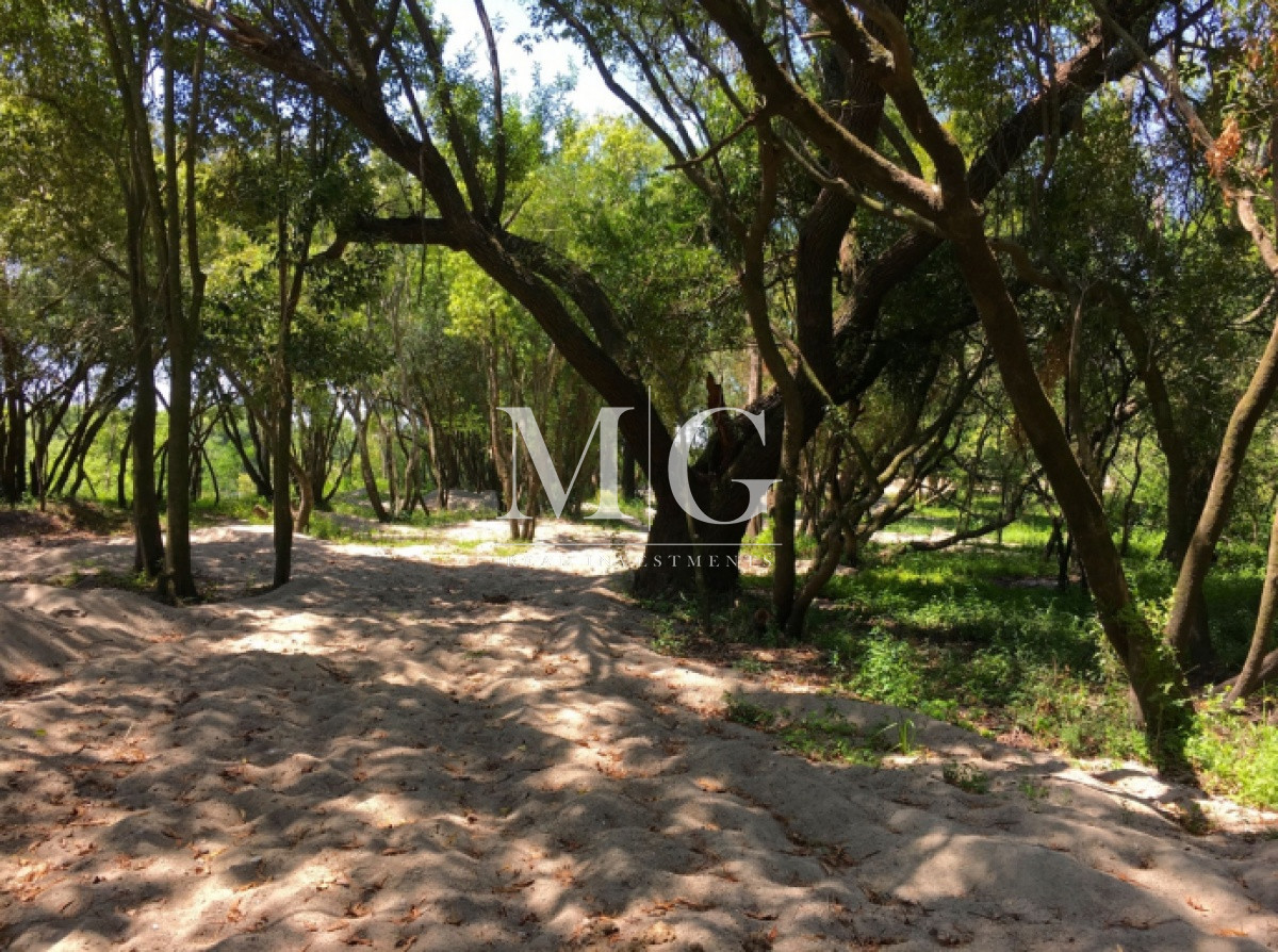 Chacra ID.361 - Venta Chacra Boca del Rosario Colonia 