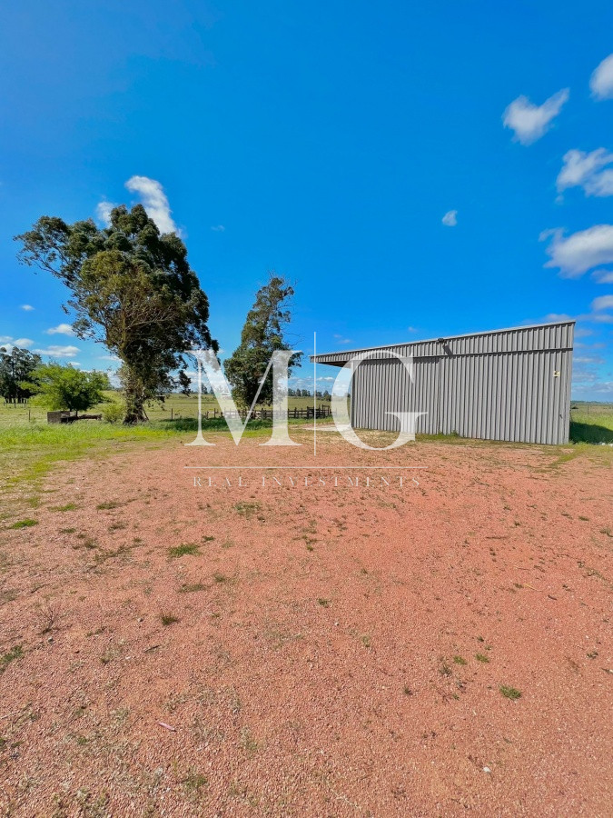 Chacra ID.501 - Venta Chacra zona Camino de los Ceibos 