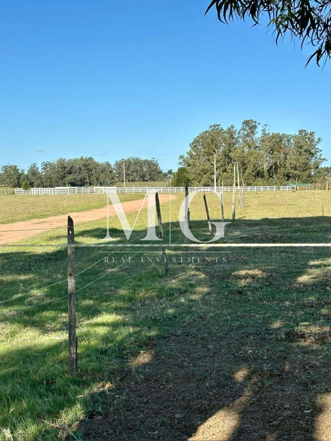 Chacra ID.1229 - Excepcional Chacra 5Has Canteras de Marelli