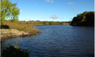 Venta Chacra Boca del Rosario Colonia