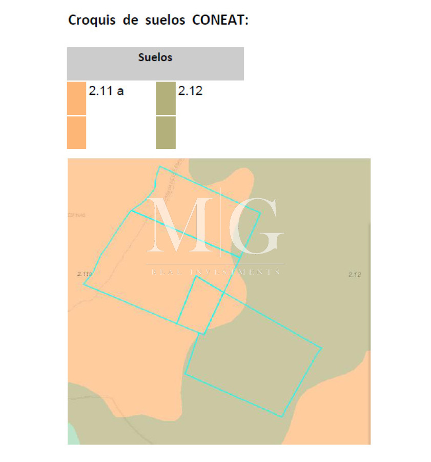 Campo Ref.1517 - 182Has Cierra de Carape - Establecimiento Ganadero, Olivicola