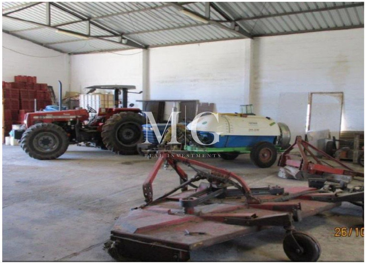 Campo Ref.1517 - 182Has Cierra de Carape - Establecimiento Ganadero, Olivicola