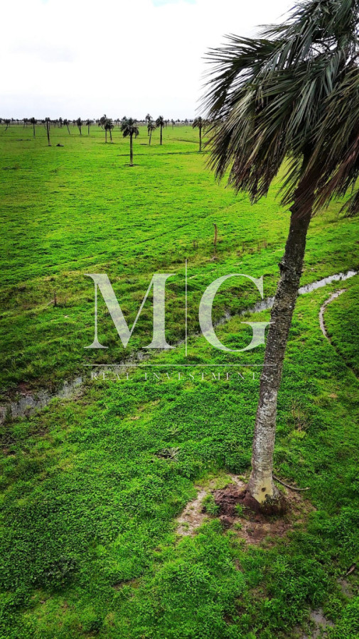 Campo Ref.1518 - 125Has Paraje Rincon Bravo, Rocha 