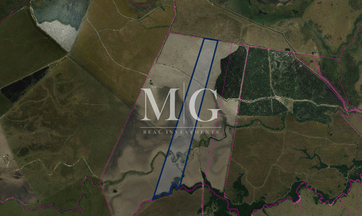 Campo Ref.1518 - 125Has Paraje Rincon Bravo, Rocha 