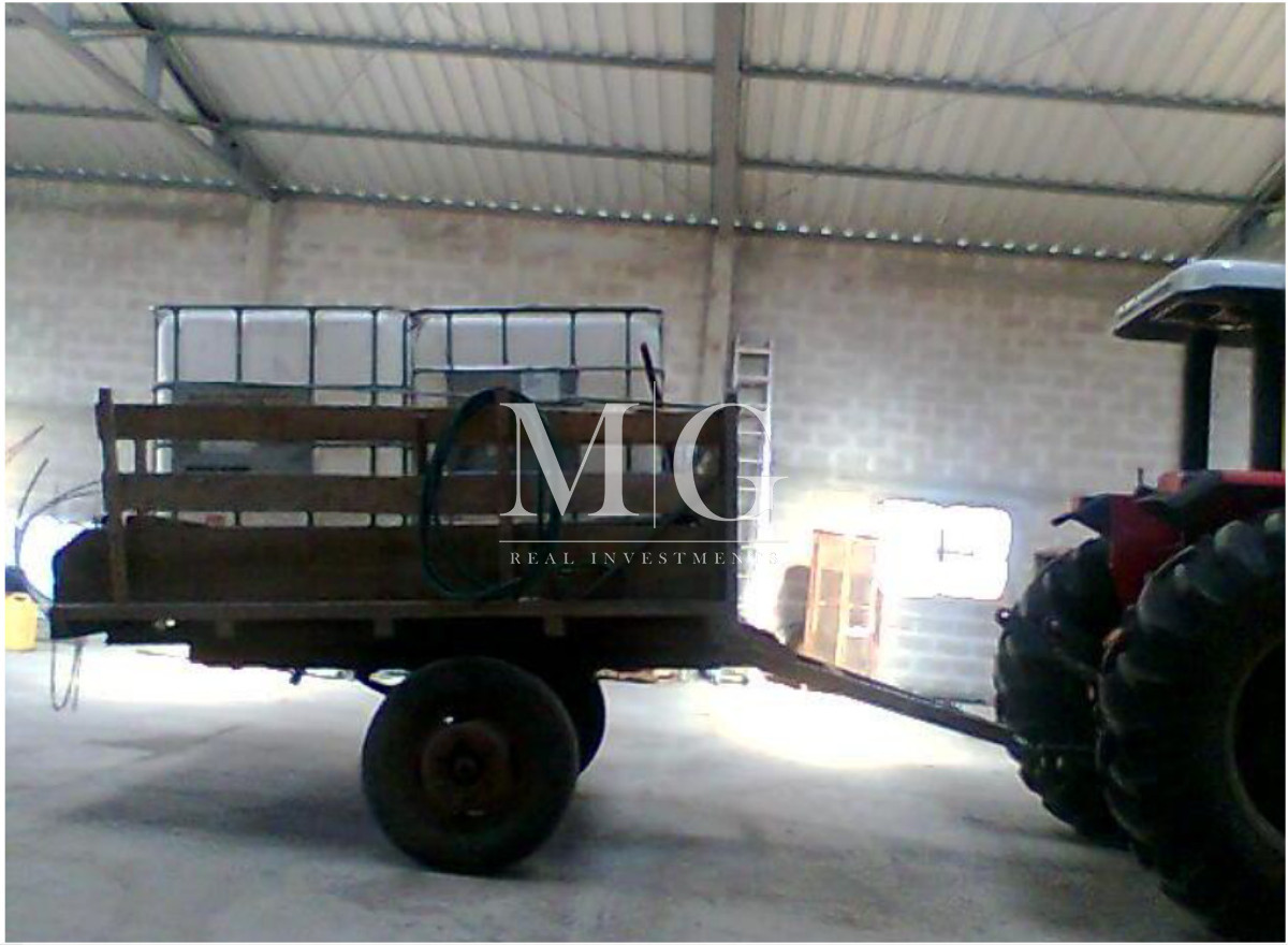 Campo Ref.1517 - 182Has Cierra de Carape - Establecimiento Ganadero, Olivicola