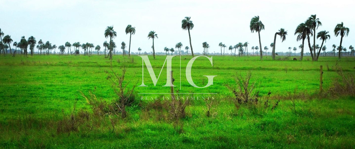 Campo Ref.1518 - 125Has Paraje Rincon Bravo, Rocha 