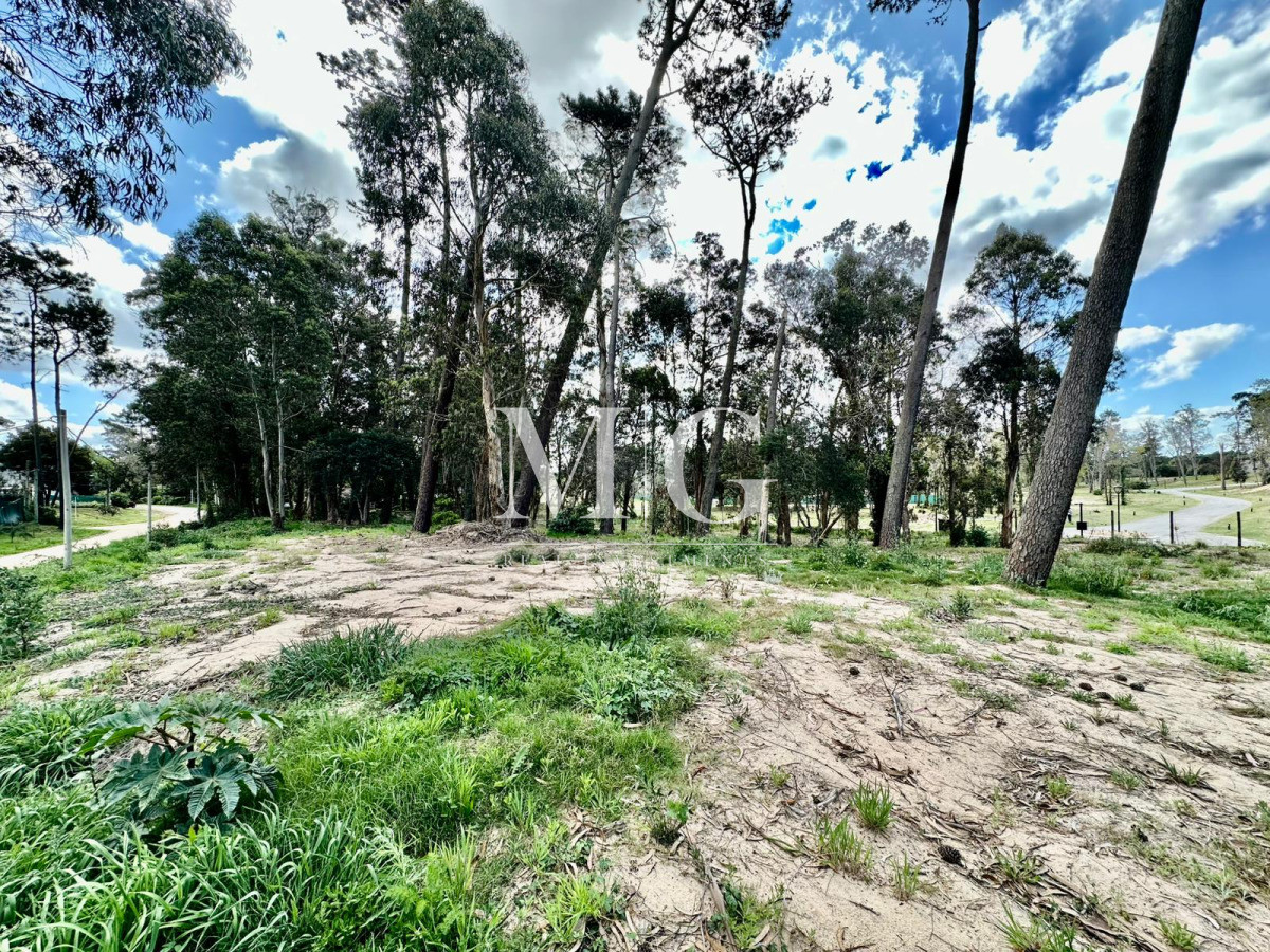 Terreno ID.1454 - Terreno de 6.601 m² en ubicación estratégica - junto a La Cañada y Distrito 52