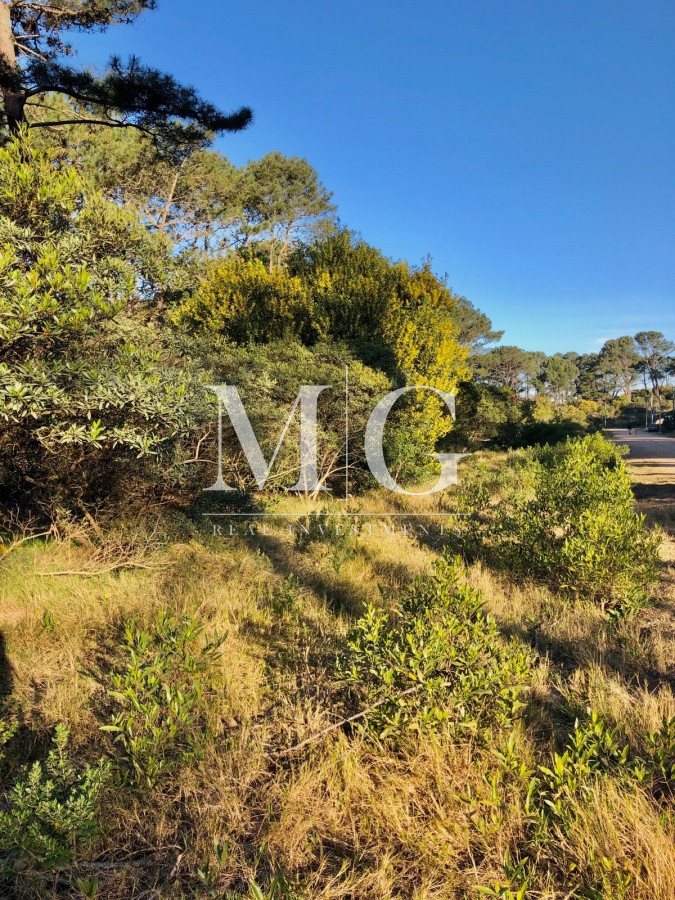 Terreno ID.205 - Venta Terreno de 1000mt zona Chihuahua frente al Mar