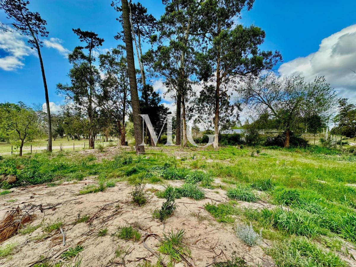 Terreno ID.1454 - Terreno de 6.601 m² en ubicación estratégica - junto a La Cañada y Distrito 52