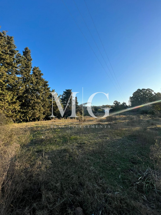 Terreno ID.376 - Venta terreno 6.500mt sobre R.39 listo para edificar