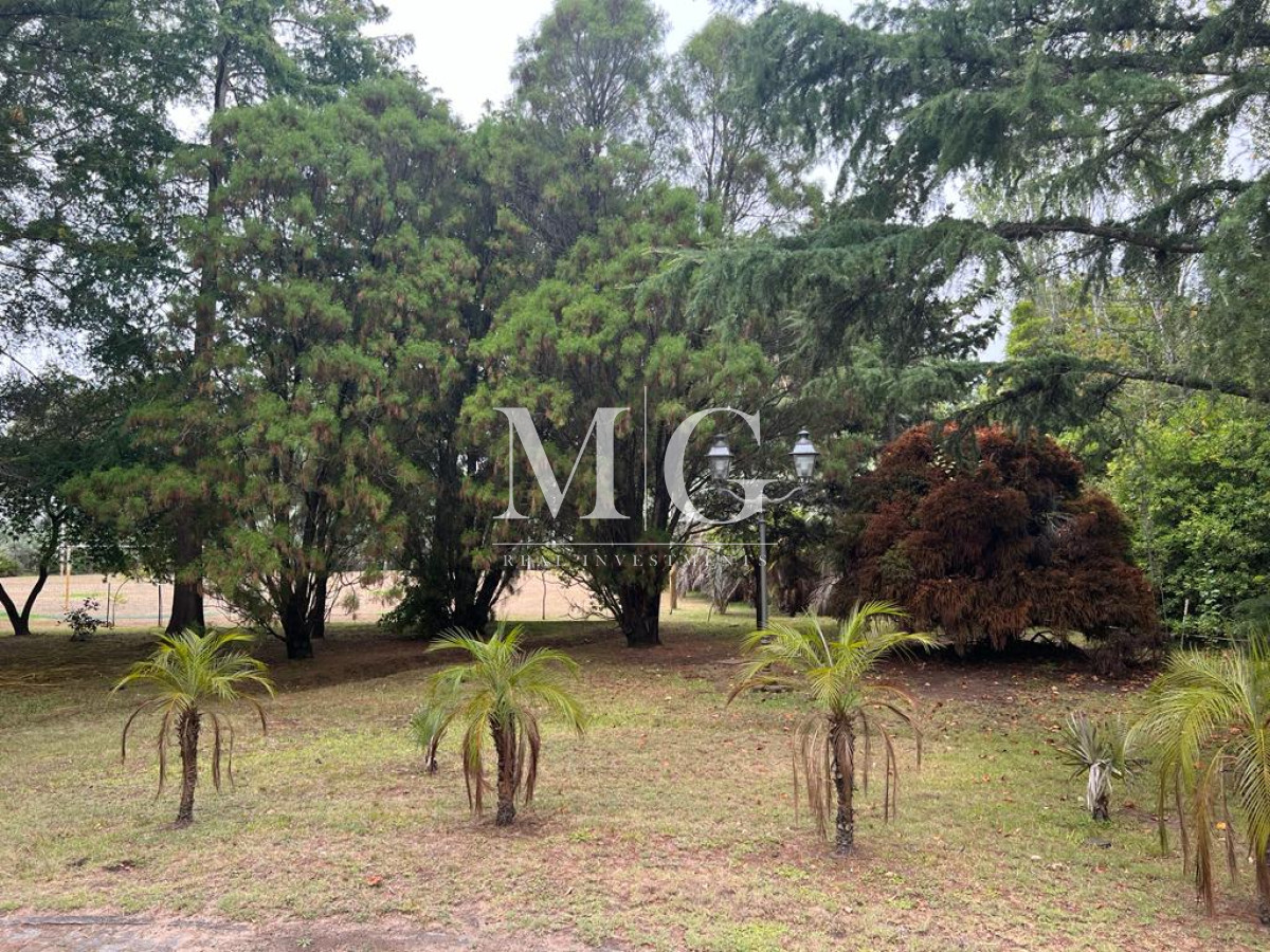 Terreno ID.1008 - SOLANAS 11.203m2 SOBRE RUTA INTERBALNEARIA