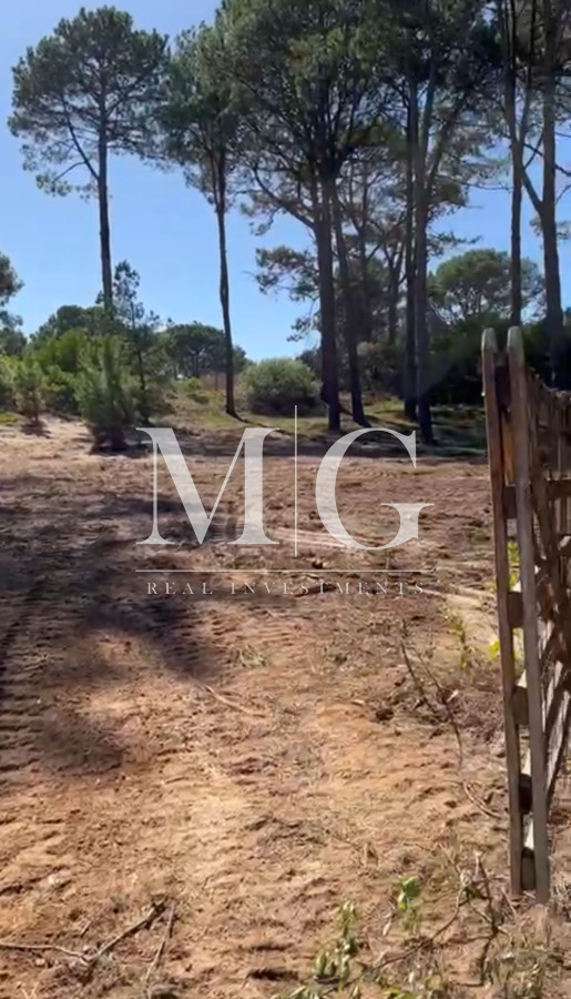 Terreno ID.1091 - 2 LOTES JUNTOS ZONA SAUCE DE PORTEZUELO