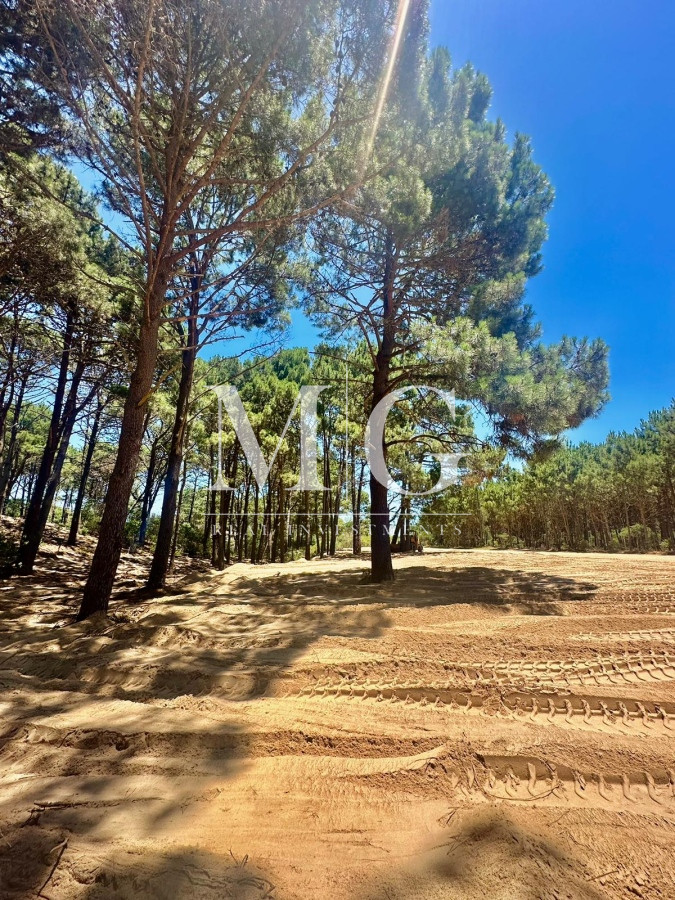 Terreno ID.207 - Venta Terreno 1018mt zona Chihuahua pronto para construir