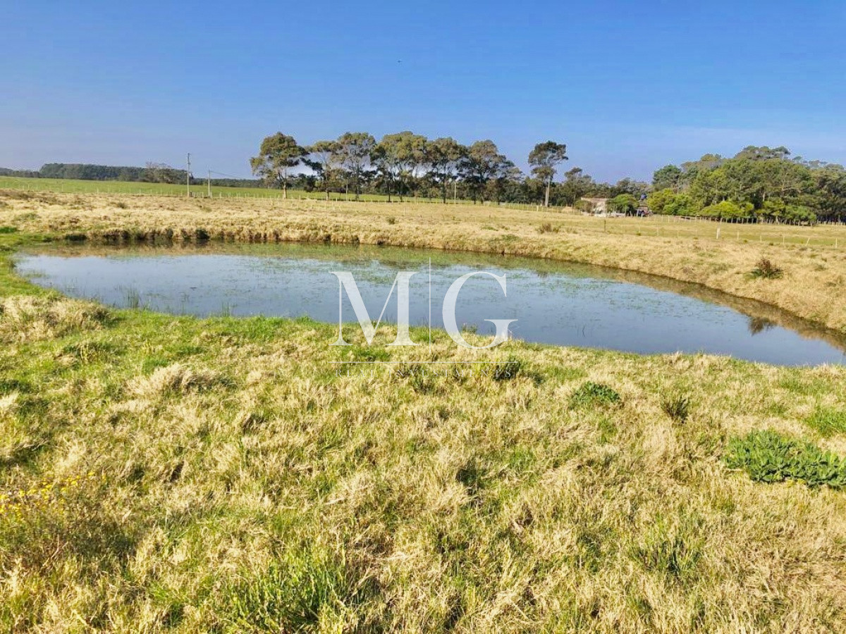 Terreno ID.556 - Venta 5Has Las Garzas