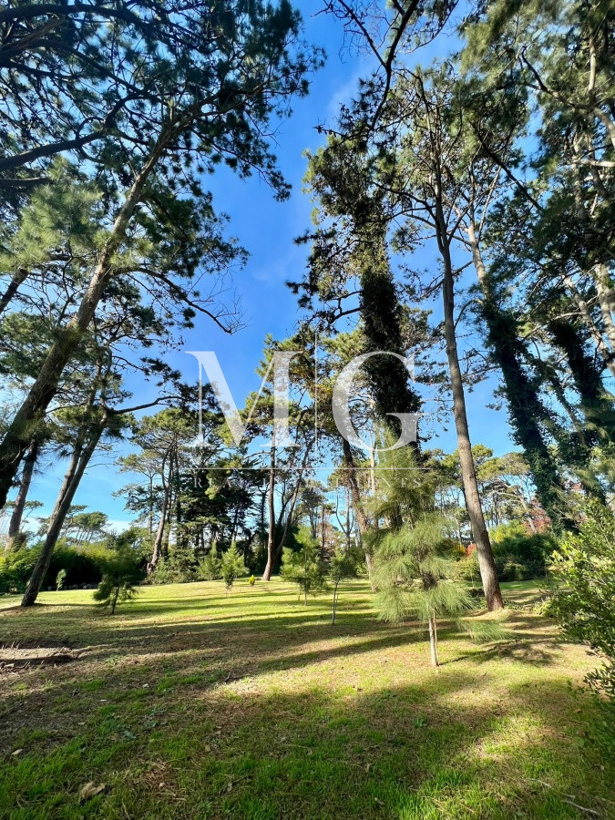 Terreno ID.317 - Venta Terreno 3.960mt zona San Rafael