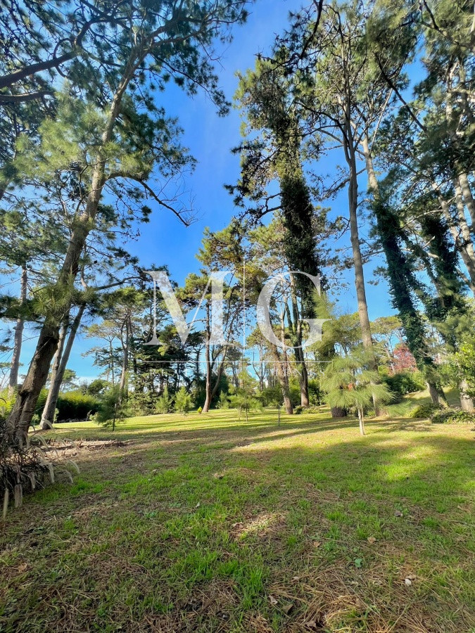 Terreno ID.317 - Venta Terreno 3.960mt zona San Rafael