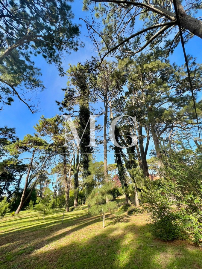 Terreno ID.317 - Venta Terreno 3.960mt zona San Rafael