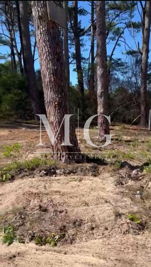 Terreno ID.1091 - 2 LOTES JUNTOS ZONA SAUCE DE PORTEZUELO