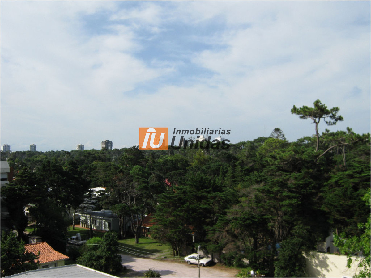 Apartamento ID.20208 - Apartamento en Punta del Este, Mansa