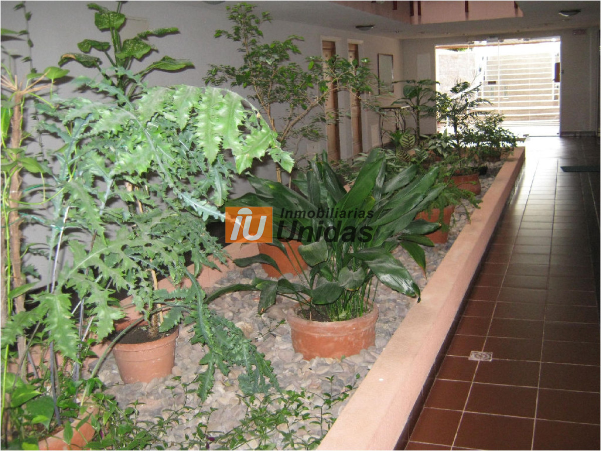 Apartamento ID.230034 - Apartamento en Punta del Este, Mansa