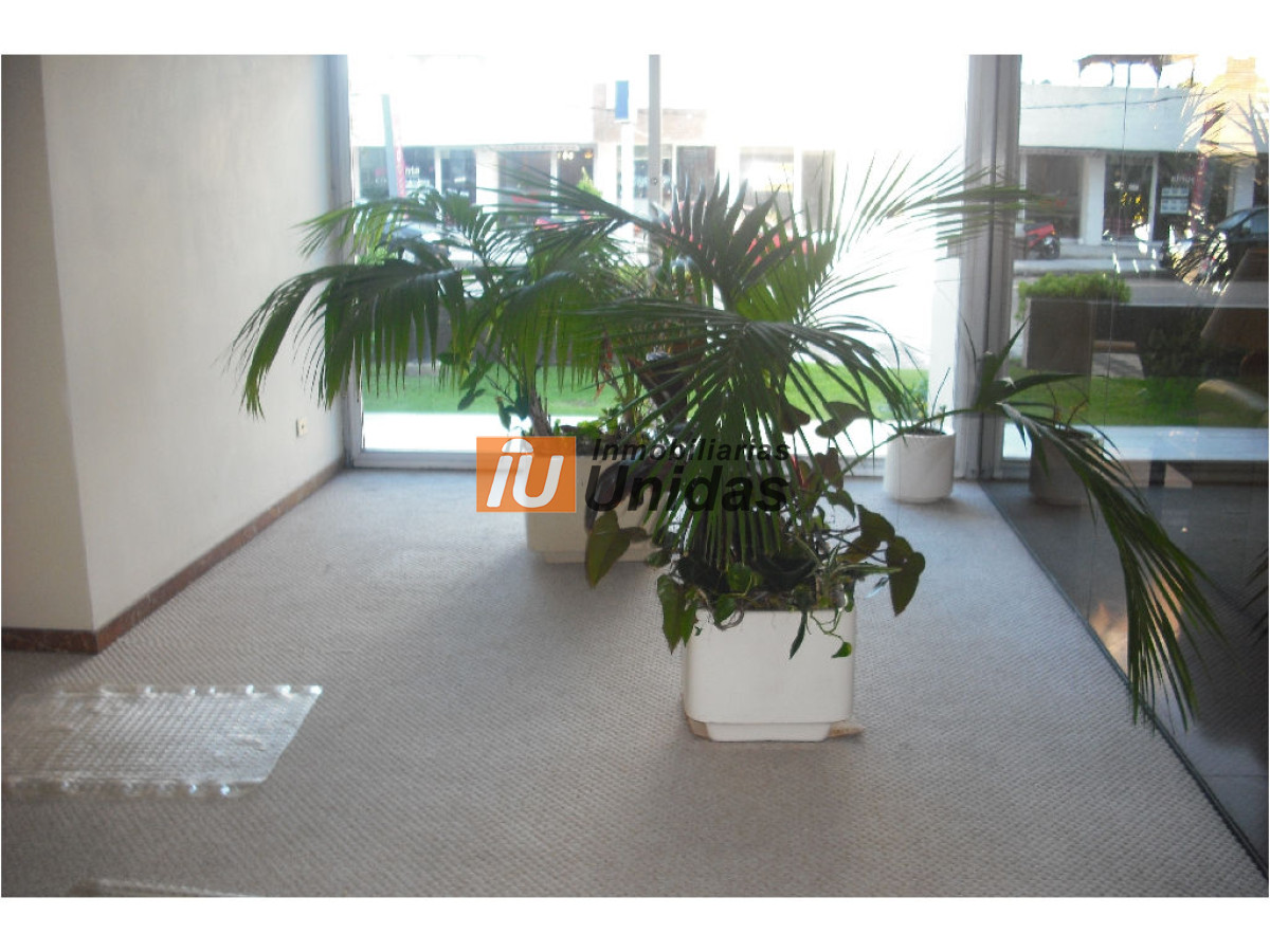 Apartamento ID.230187 - Apartamento en Punta del Este, Península