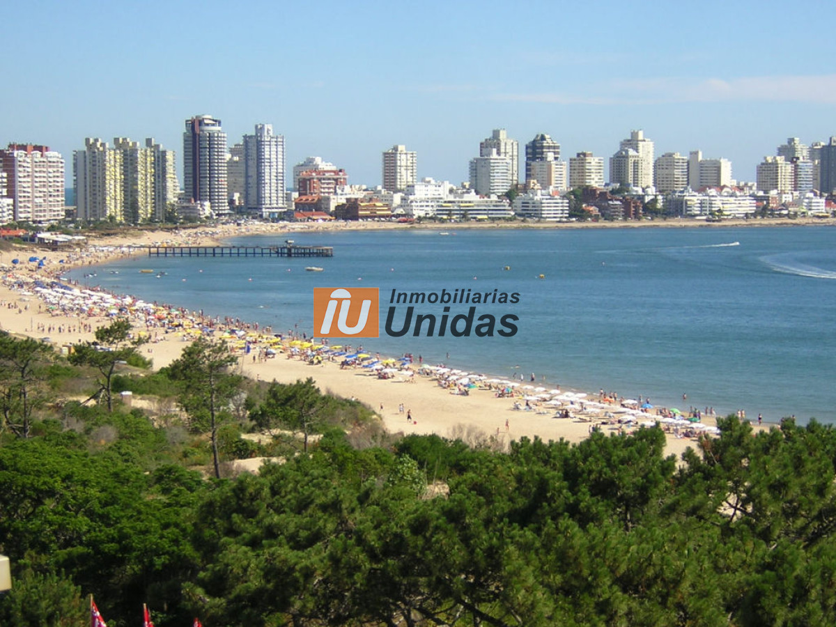 Apartamento ID.230217 - Apartamento en Punta del Este, Mansa