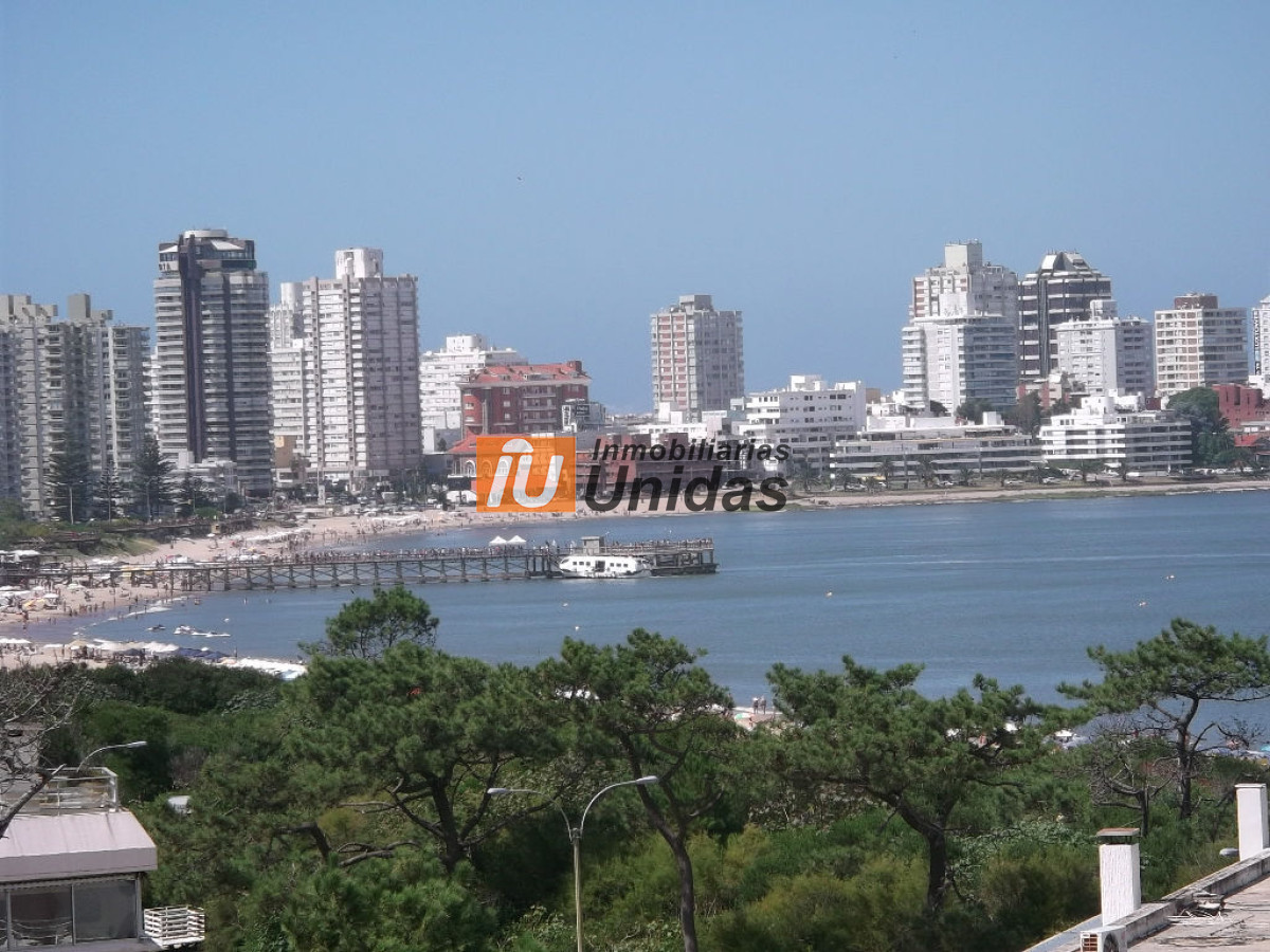 Apartamento ID.232067 - Apartamento en Punta del Este, Mansa