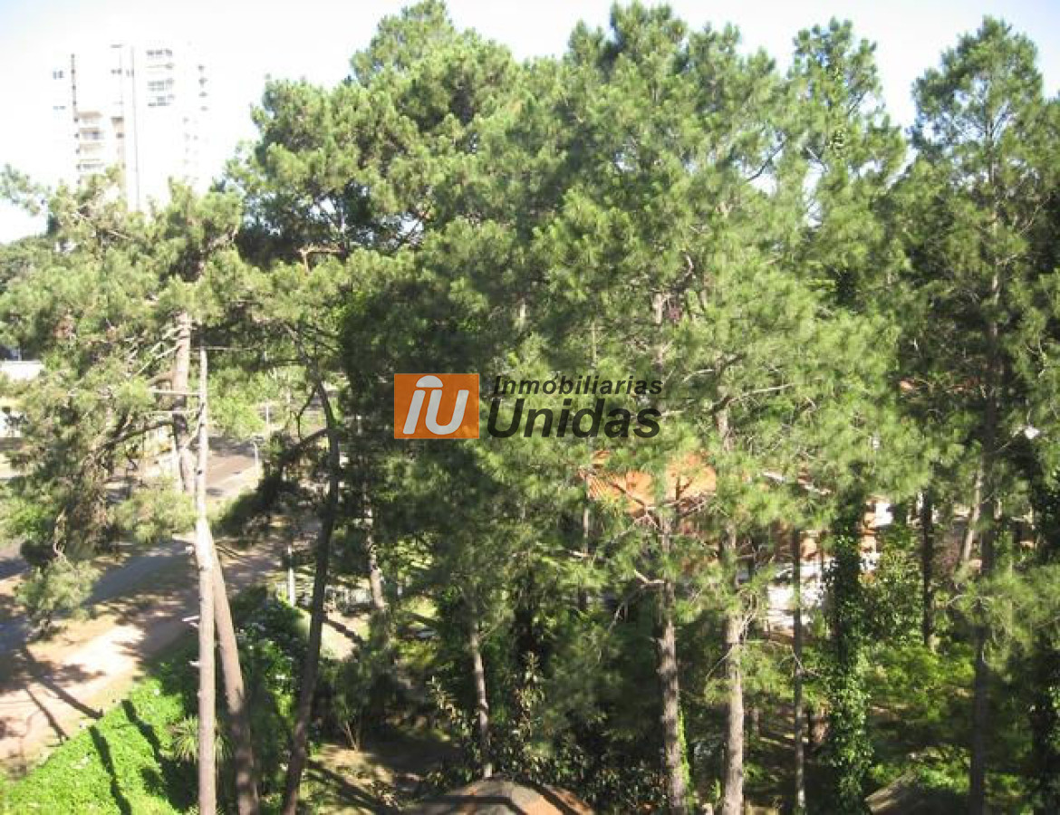 Apartamento ID.232188 - Apartamento en Punta del Este, Roosevelt