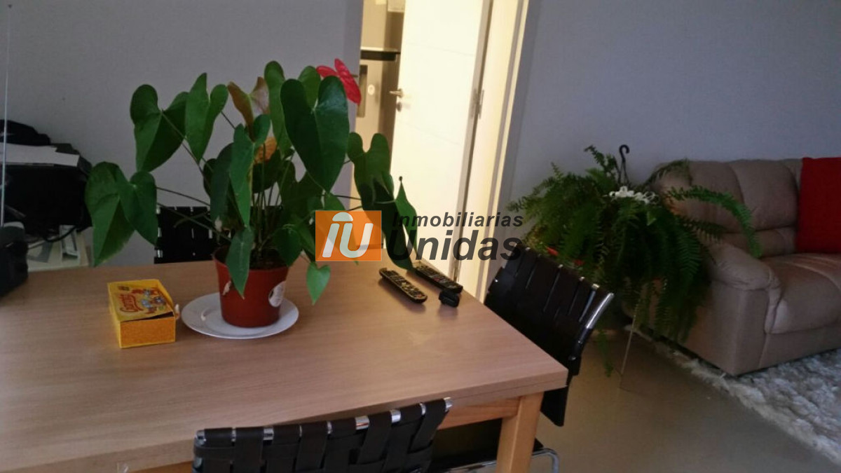 Apartamento ID.232272 - Apartamento en Punta del Este, Beverly Hills