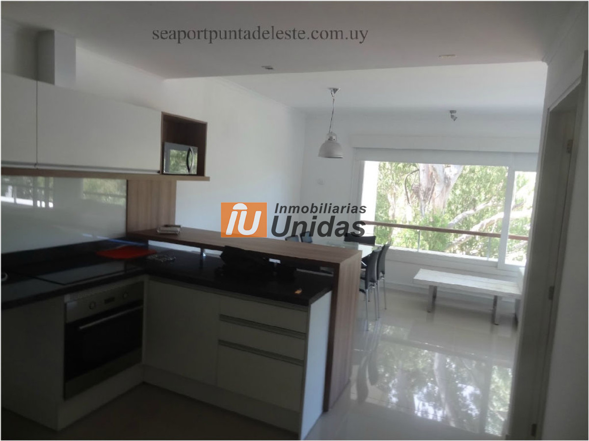Apartamento ID.232383 - Apartamento en Punta Ballena, Punta Ballena
