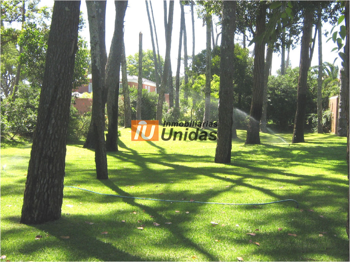 Casa ID.232840 - Casa en Punta del Este, Mansa