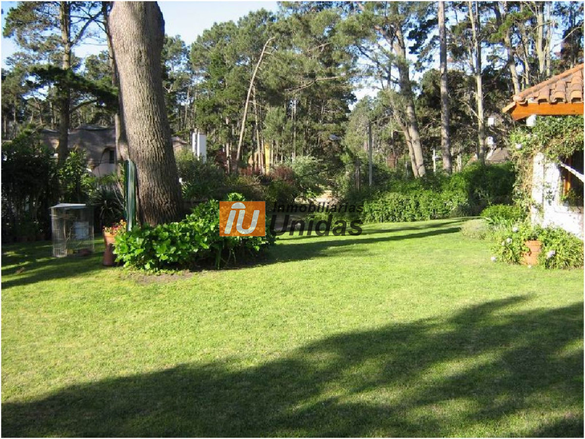 Casa ID.233471 - Casa en Punta del Este, Pinares