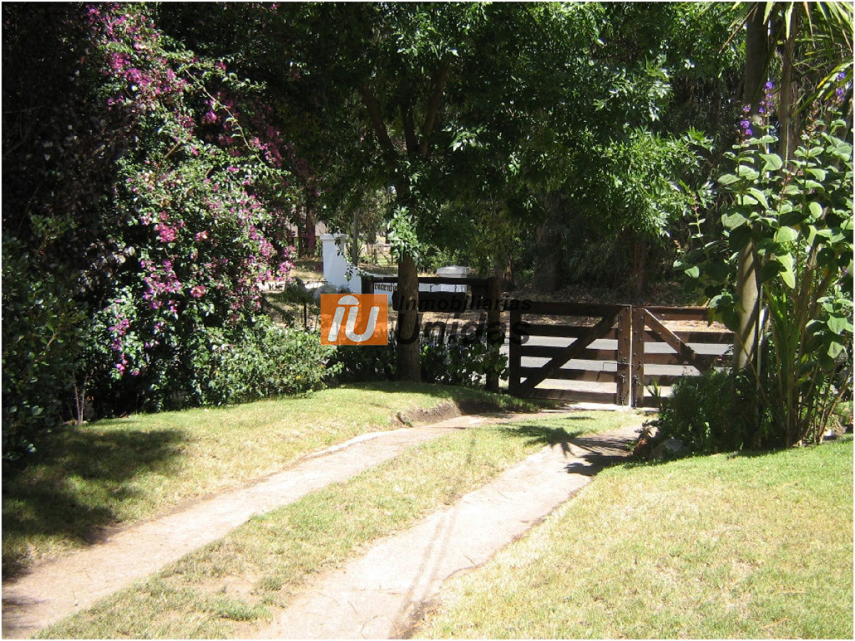 Casa ID.233496 - Casa en Punta del Este, Pinares