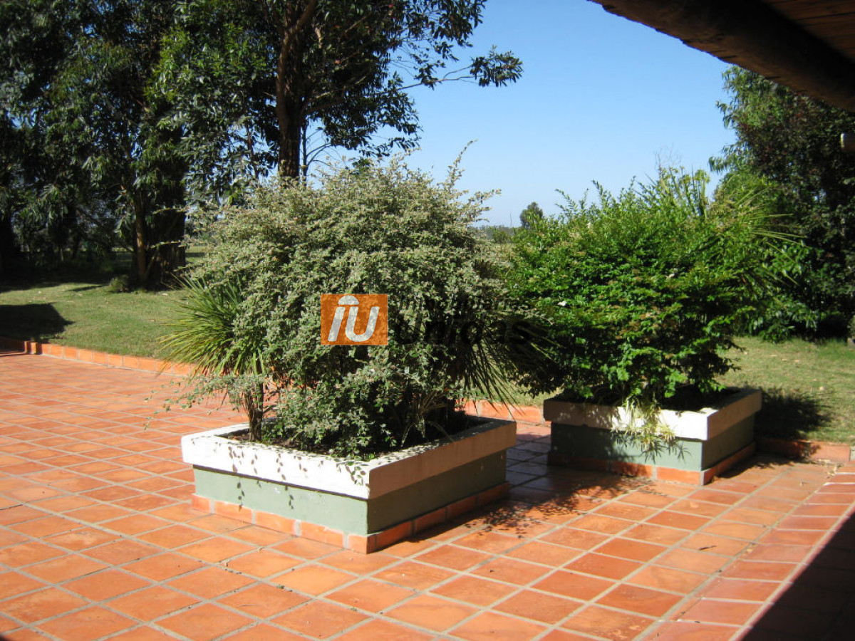 Casa ID.233710 - Casa en Punta del Este, 