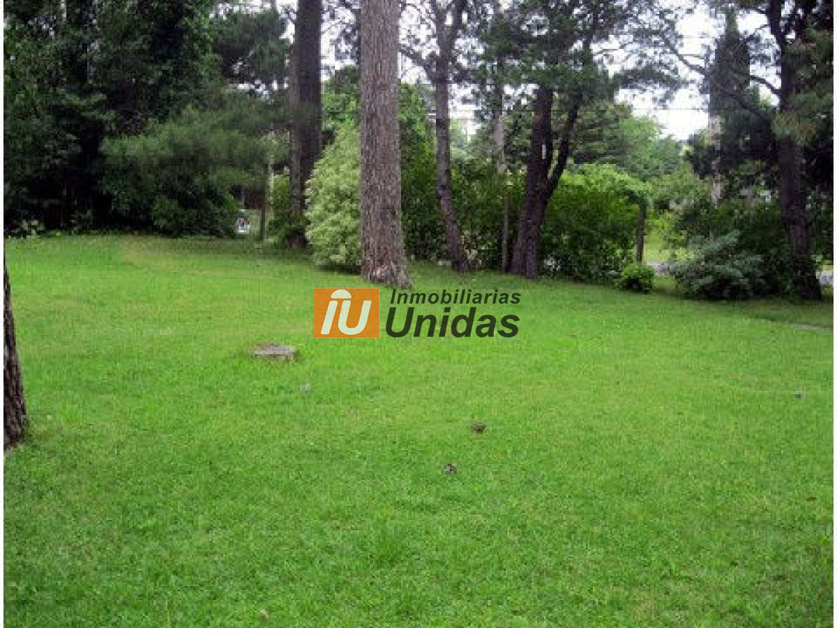 Casa ID.233736 - Casa en Punta del Este, Cantegril