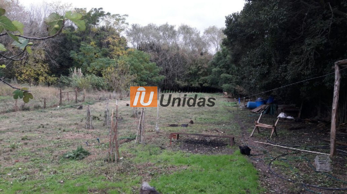 Casa ID.233975 - Casa en Montevideo, Centro Montevideo