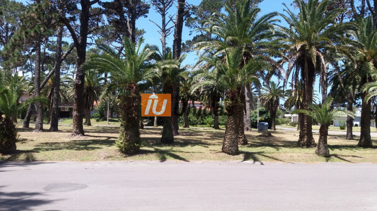 Casa ID.233993 - Casa en Punta del Este, San Rafael