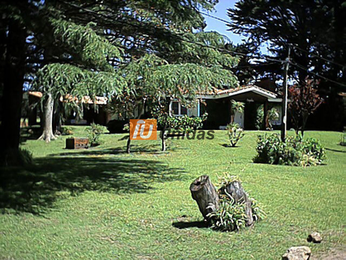 Casa ID.233029 - Casa en Punta del Este, Cantegril